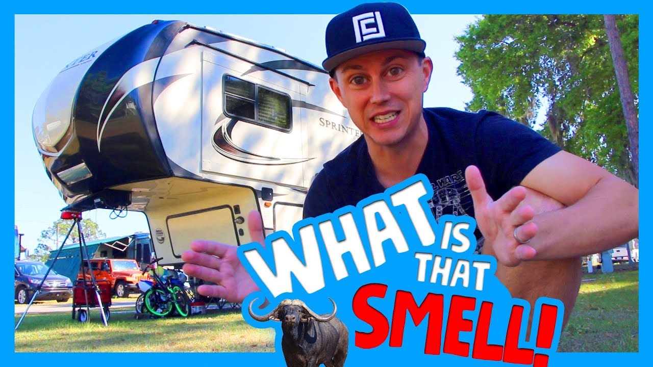 🚰 HOW TO CLEAN YOUR RV WATER TANKS 💩 Feeding Water Buffalo at Safari Wilderness 🐃Our RV Life