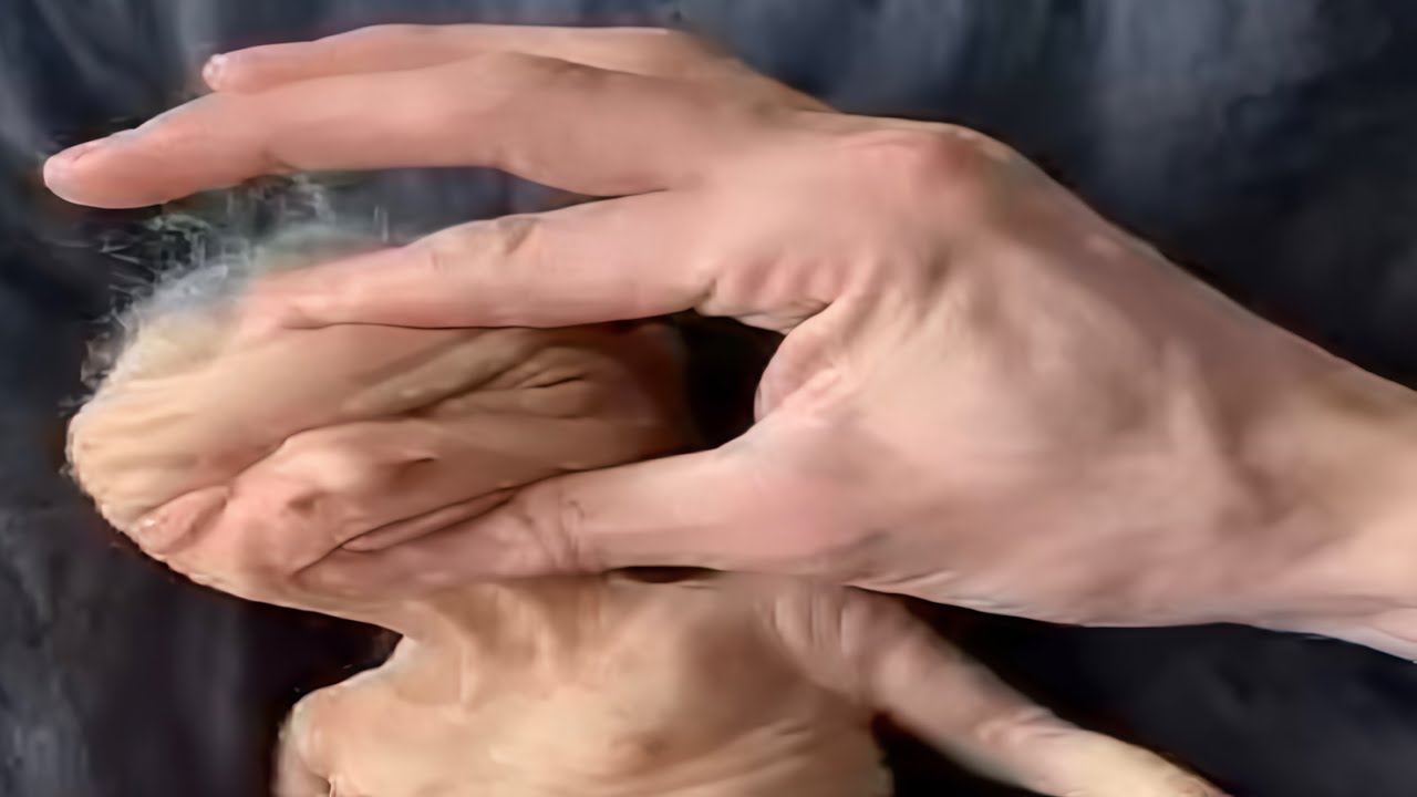 Если вы засмеетесь, вы начнете заново.