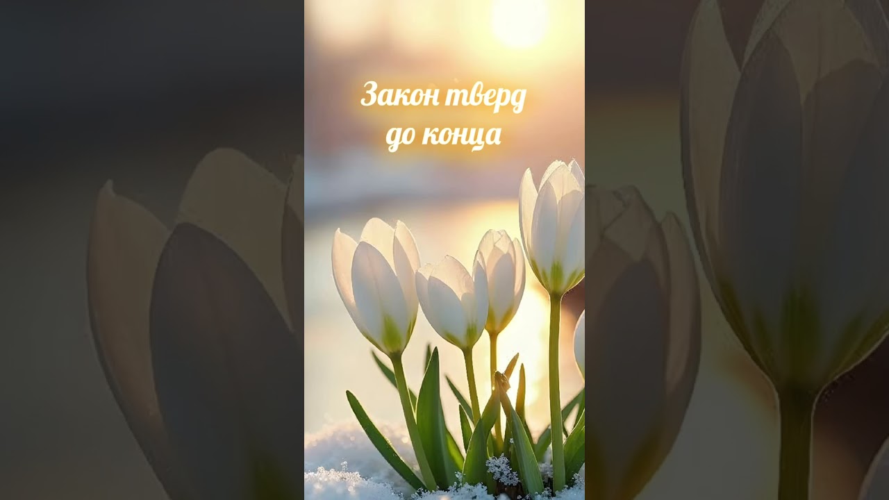 Закон который вечный