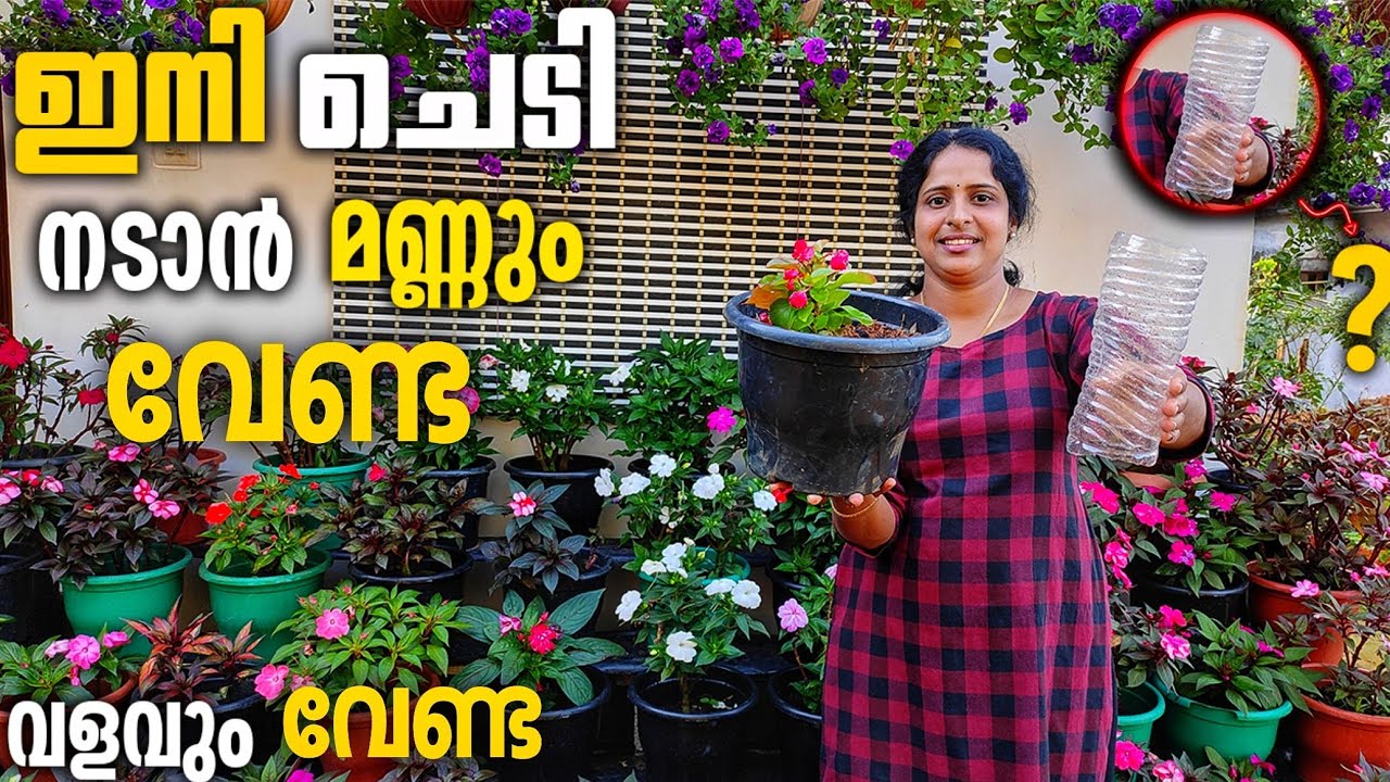 ഇനി ആർക്കും ചെടിനടാം മണ്ണും വളവും വേണ്ട |best poting mix