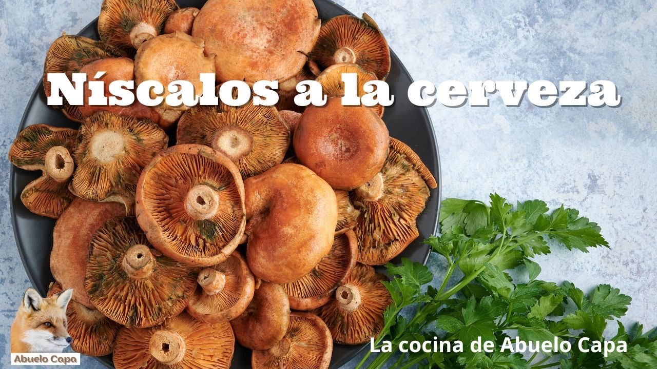 Como cocinar n&iacute;scalos a la cerveza