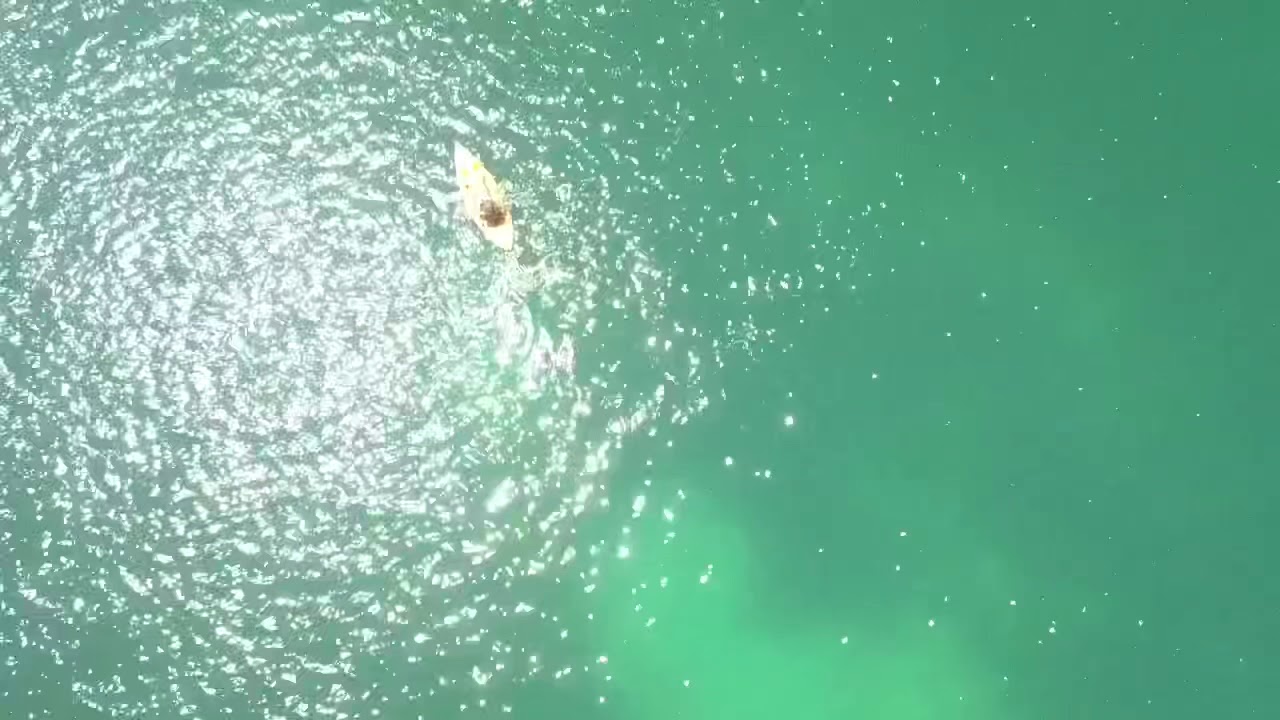 Bandy Creek Harbour Chill Time