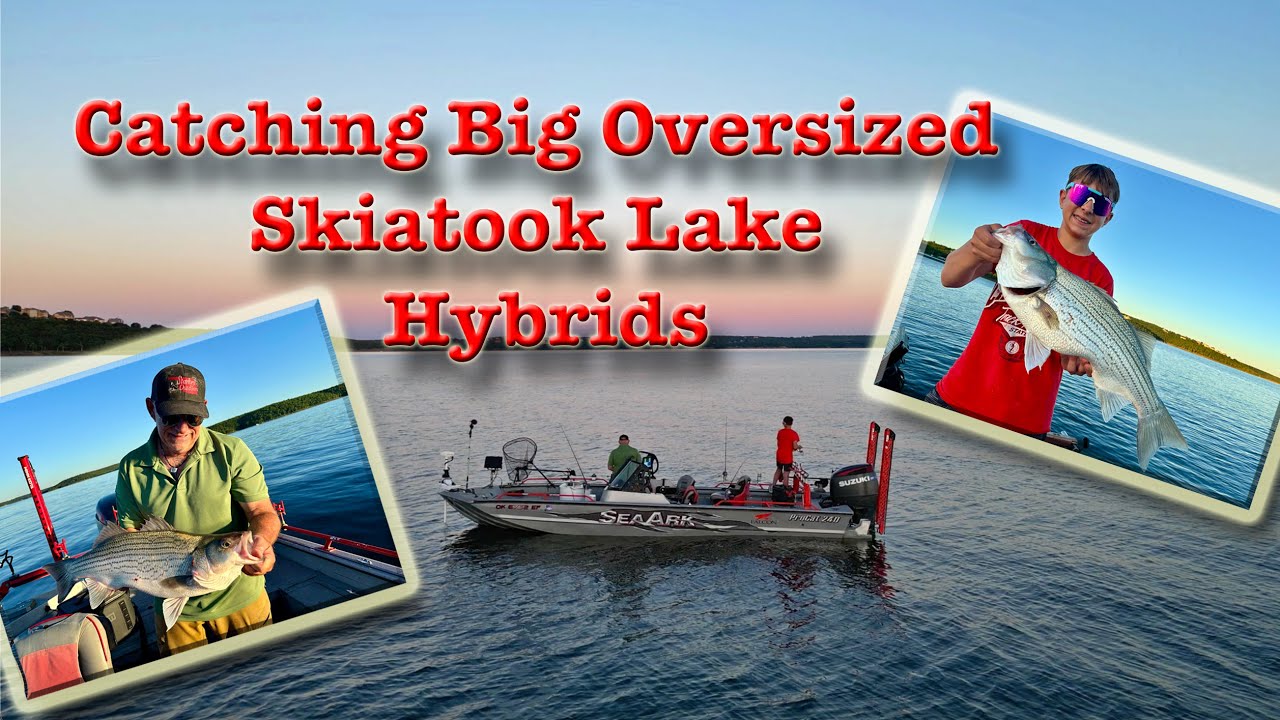 Skiatook Lake Hybrid Bass Fishing