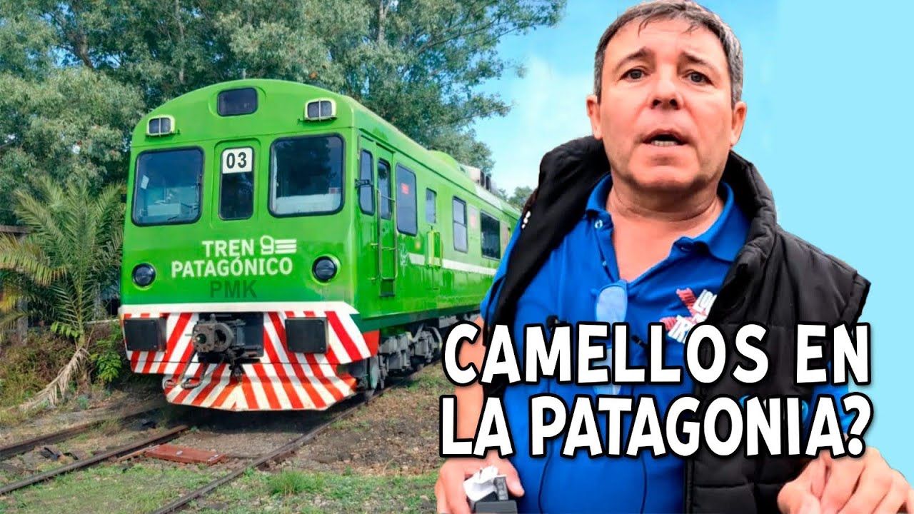 ☃️❄️🚂⛷️CAF 593 AL TREN PATAGÓNICO TRASLADO  DE TRIPLAS COCHEMOTOR ESTACIÓN HAEDO TRENES ARGENTINOS