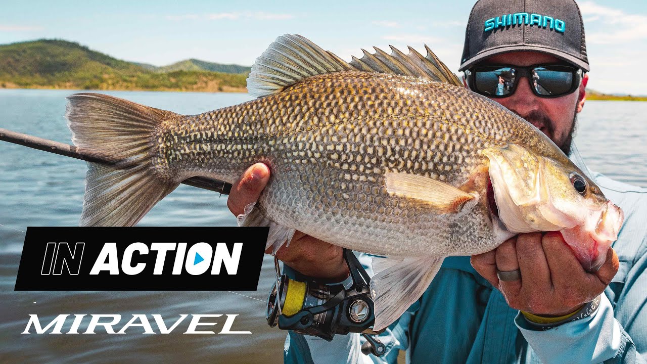 Back to Bass with the Shimano Miravel and Carl Jocumsen!