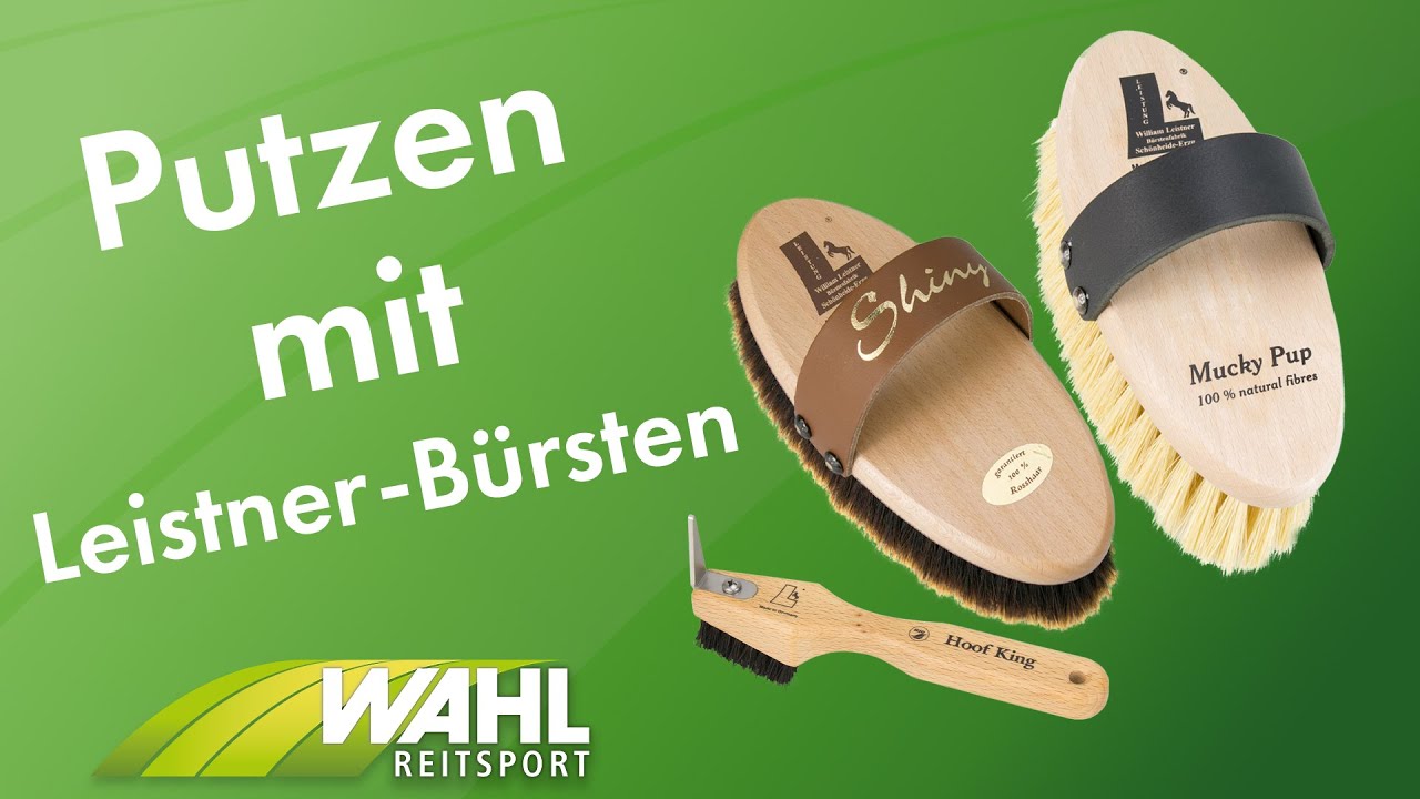 Putzroutine I Leistner Bürsten I WAHL Reitsport