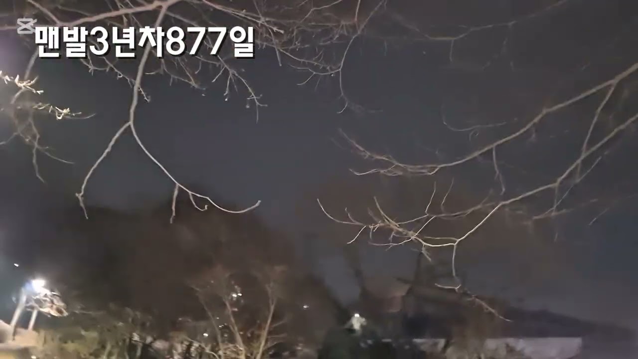 스토리양...맨발걷기877일차?오늘은기온이높아춥지가않네요!#상온 #맨발877일 #