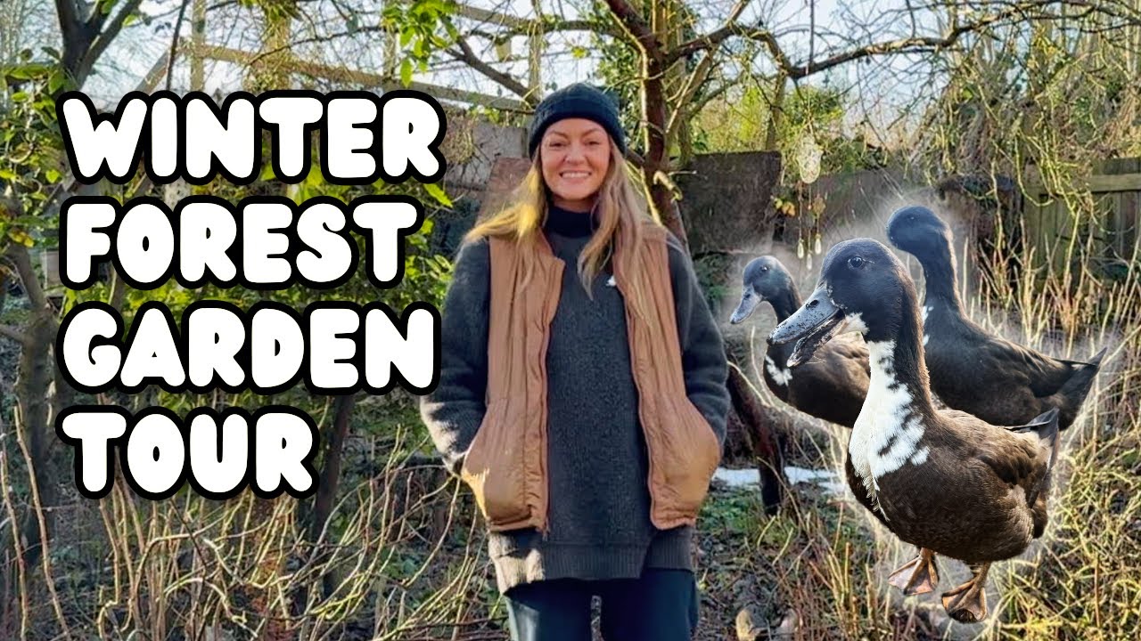 Large Allotment Tour in Winter | Permaculture Garden