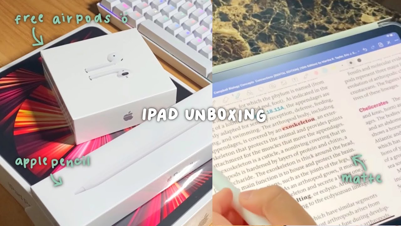 ipad pro 11