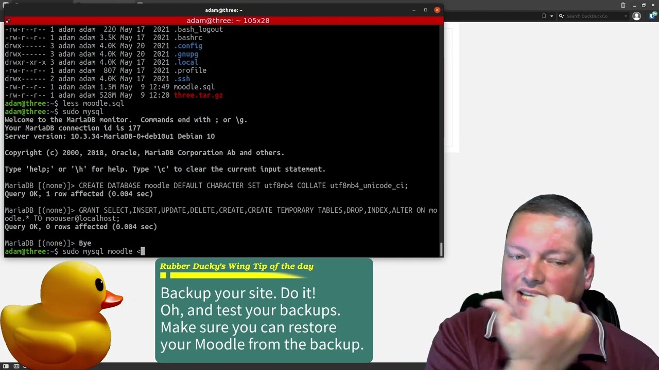 Backup MySQL or MariaDB
