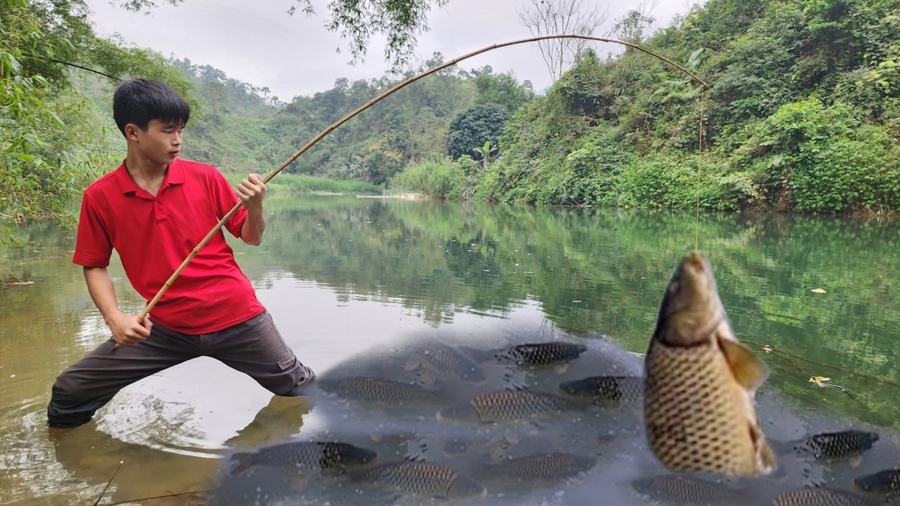 Young Lam was fishing in the pond on the newly purchased farm. Unexpectedly, he caught a huge fish.