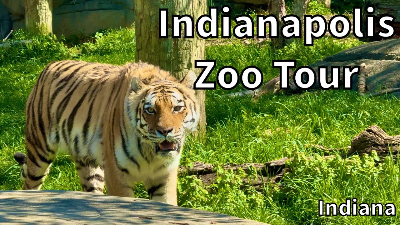 Tour of the Indianapolis Zoo - Indianapolis, Indiana - USA