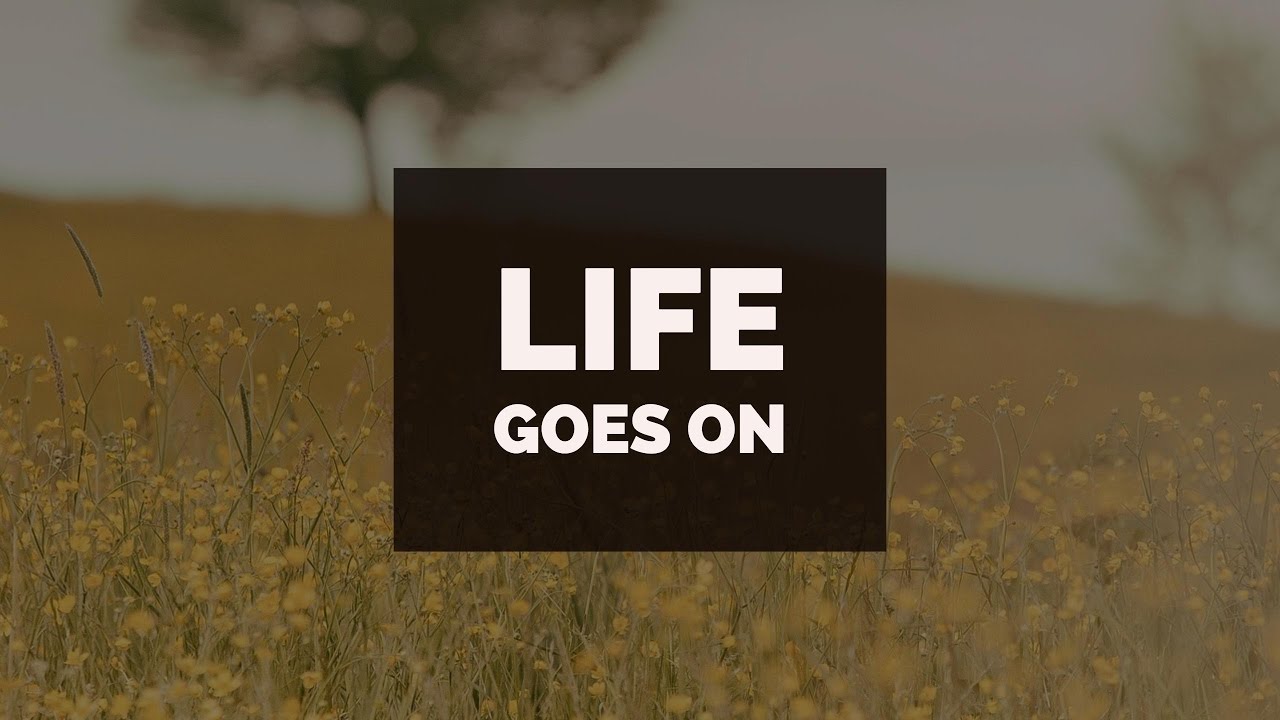FERNQUEST - LIFE GOES ON