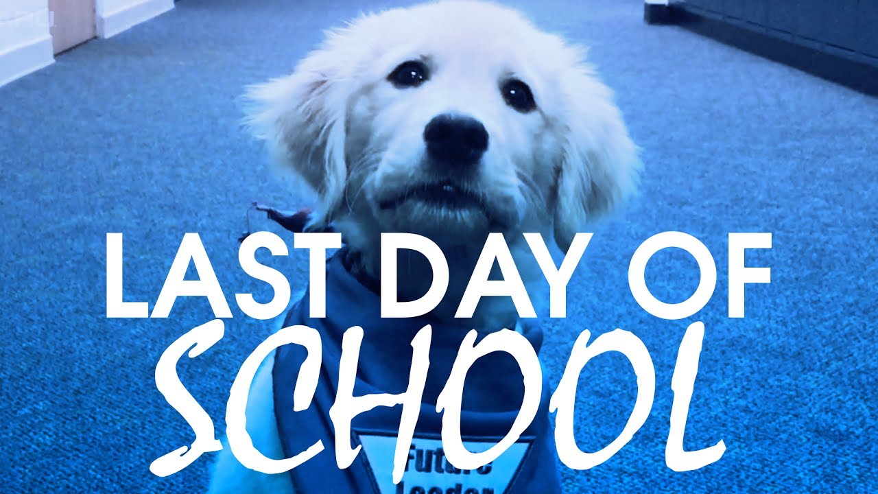 Last Day of School // Sellers Subaru - Leader Dog - Donald J. Yacks Elementary