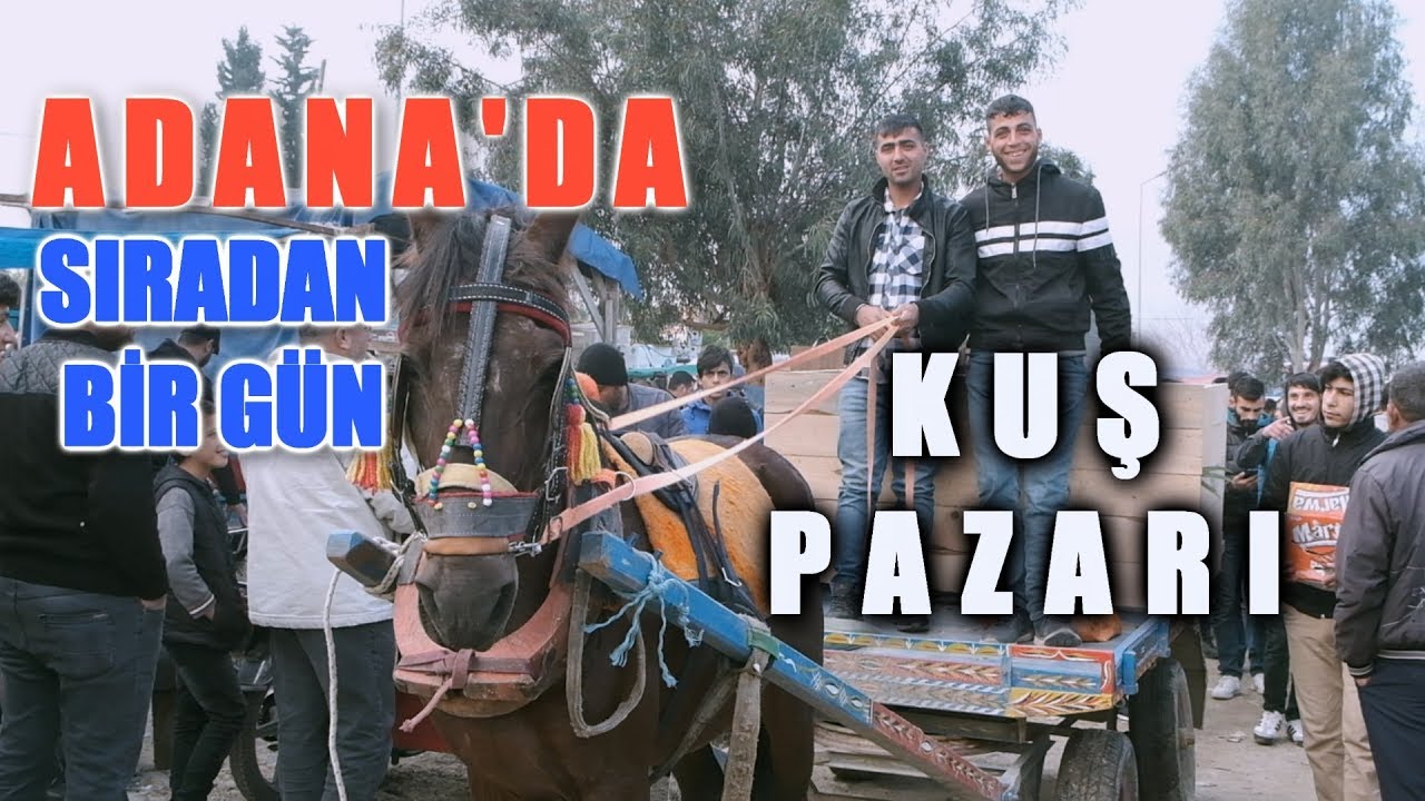 ADANA KUŞ PAZARI: NE ARARSAN VAR!