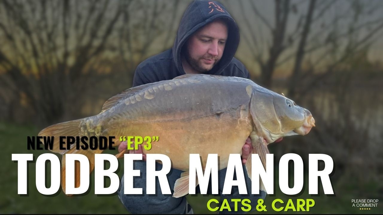 Todber Manor Carp & Cats