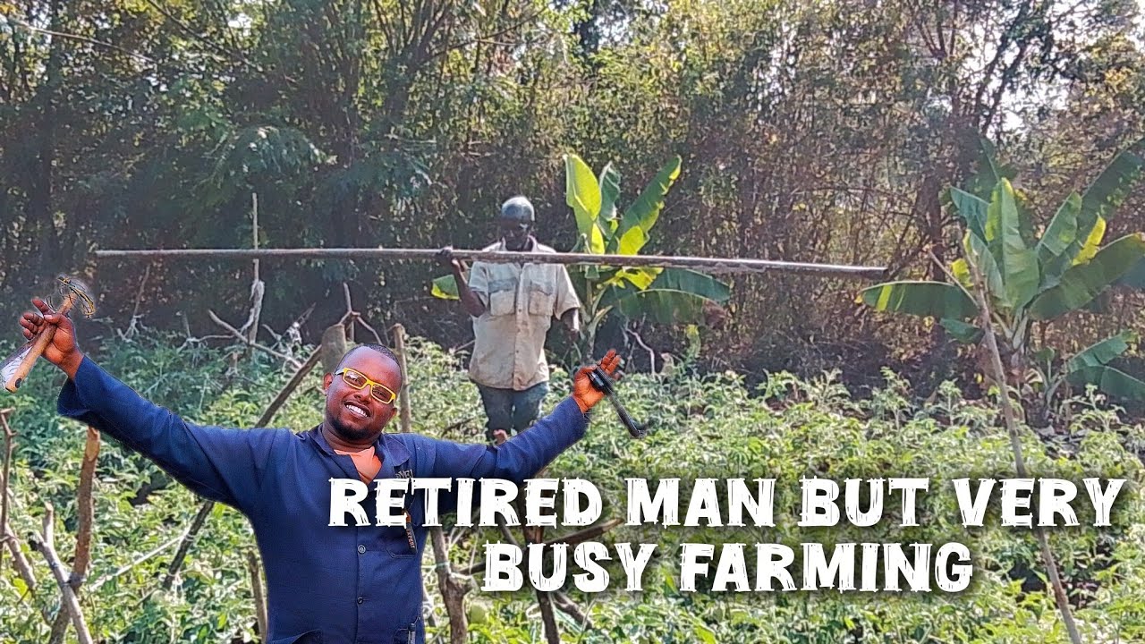I WAS CALLED AS A TECHNICIAN TO REPAIR ELECTRICITY BUT MZEE INSPIRED ME TO DO FARMING!!😯@iammarwa