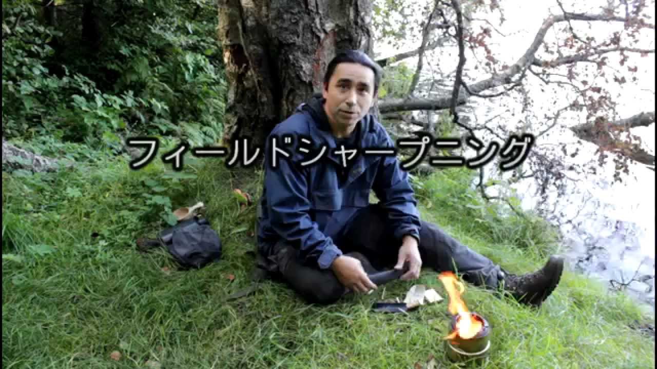 フィールドシャープニング