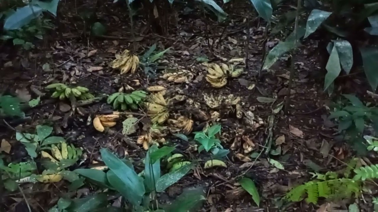 Pense numa ceva boa..