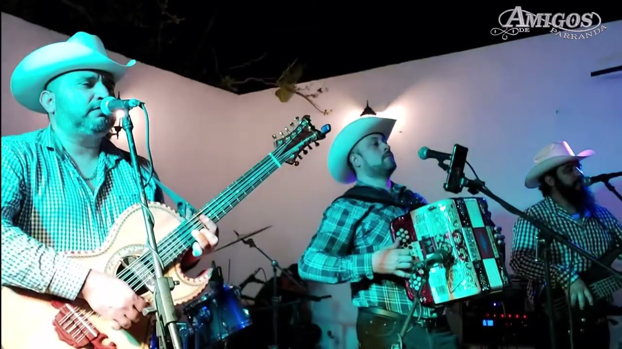 Amigos de Parranda de Culiacán - El Columpio (En Vivo Desde Una Fiesta Privada 2026) #fyp #trending