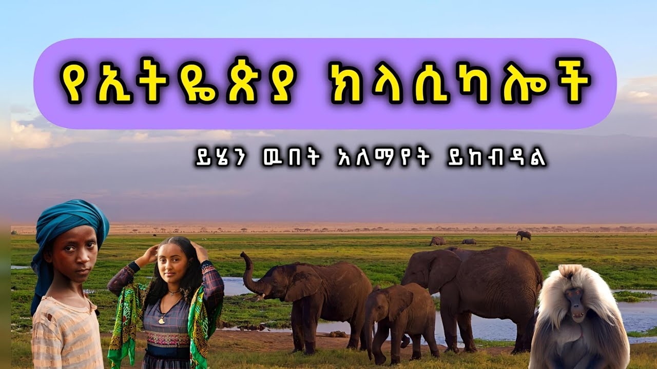 ክላሲካል - አዳዲስ መሳጭ ክላሲካሎች | New Ethiopian instrumental Classical music Best Non Stop Collection