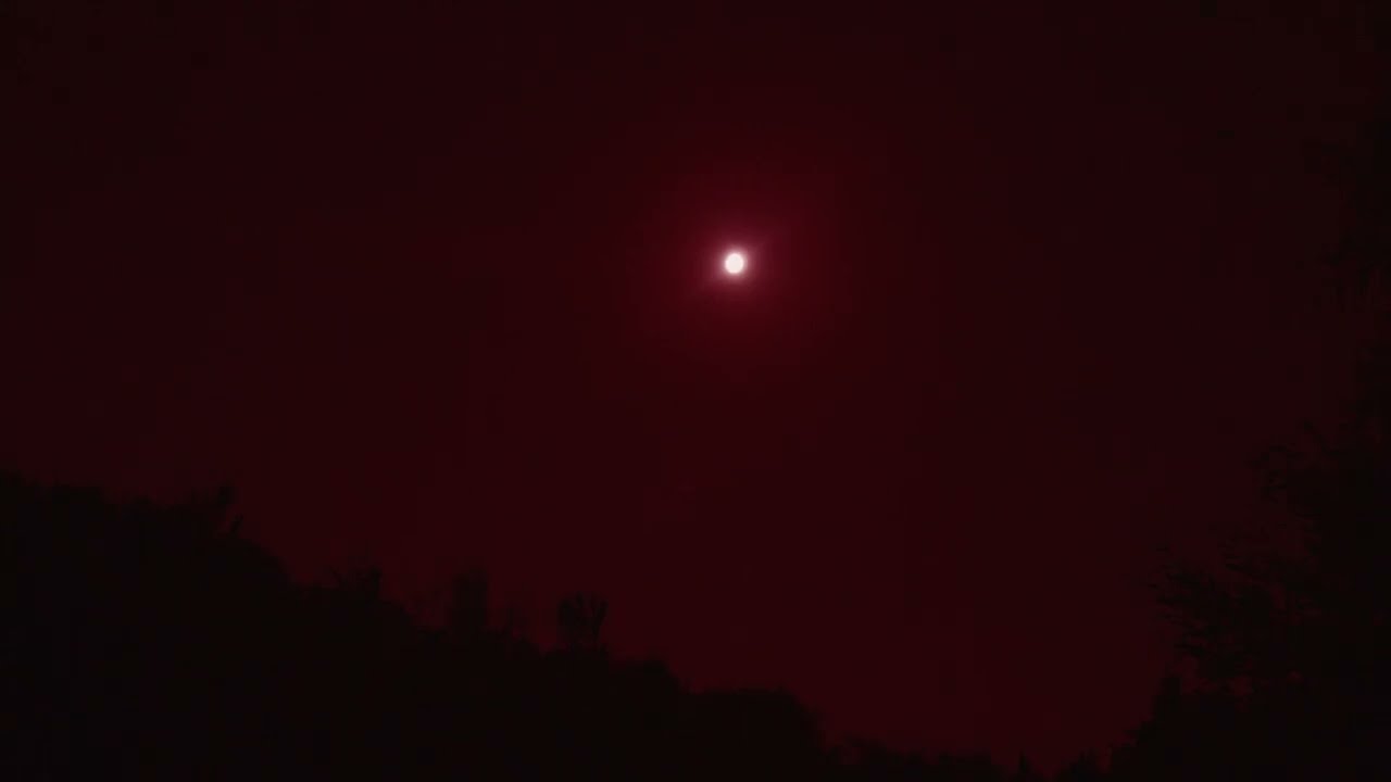 Summer Night Ambiance (SLEEP, Ambient, Field Recording)