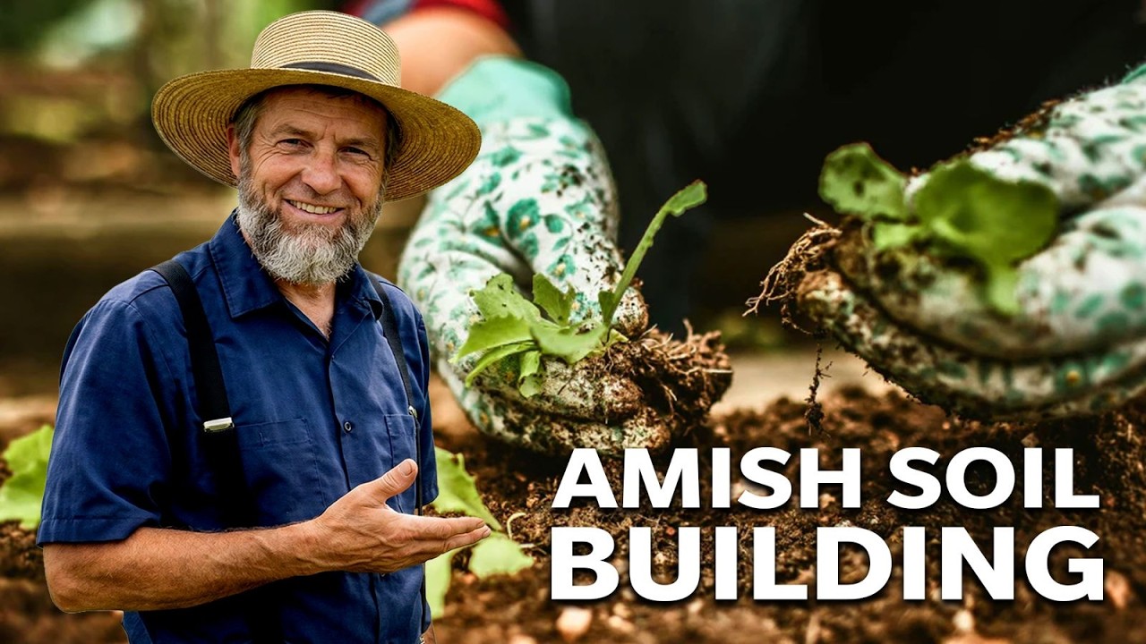 How Amish families build soil without buying amendments