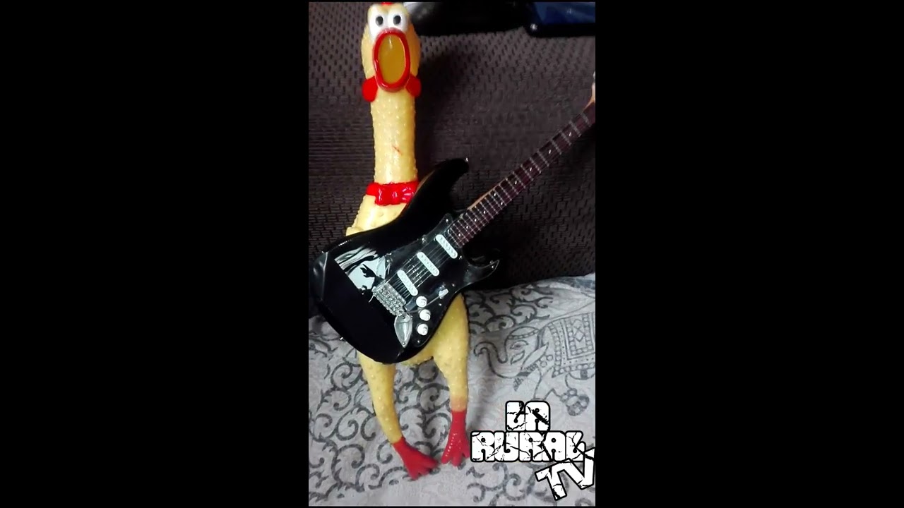 LA RURAL BLUES BAND - Un mundo mejor - (Versión en cuarentena)