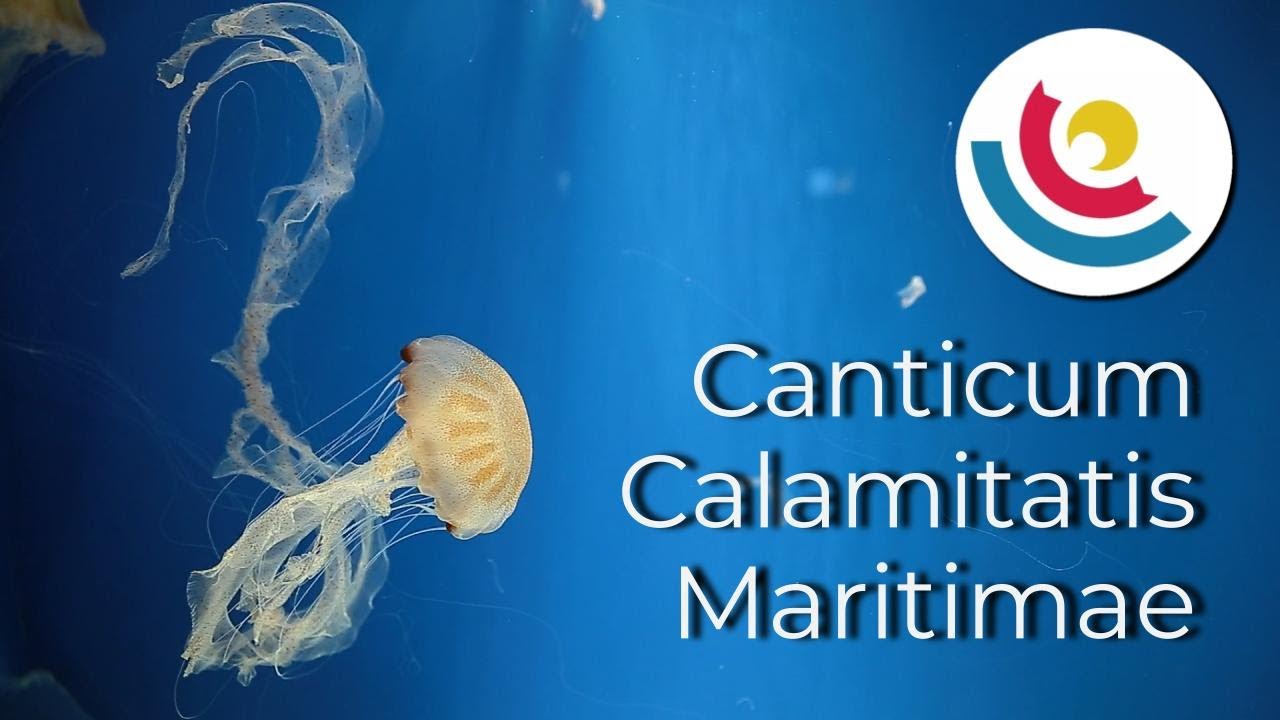Canticum Calamitatis Maritimae - Jaakko Mäntyjärvi | Cape Town Youth Choir