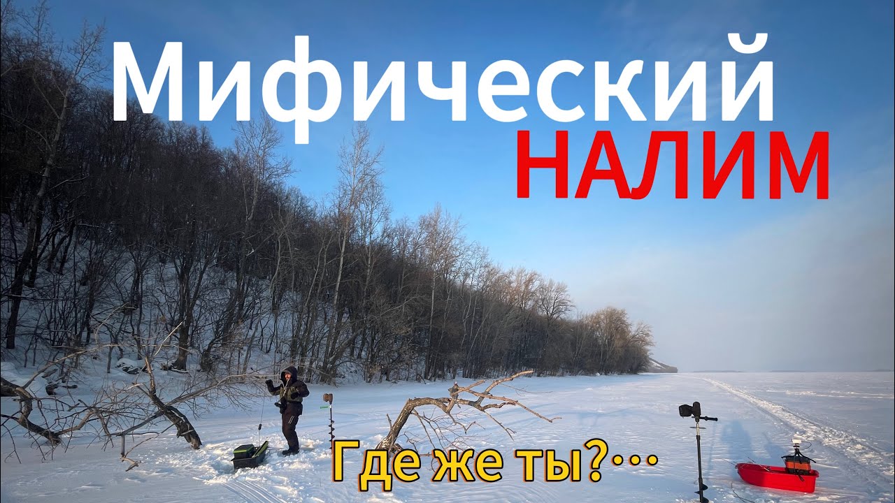 Мифическая рыба НАЛИМ… Рыбалка 2026