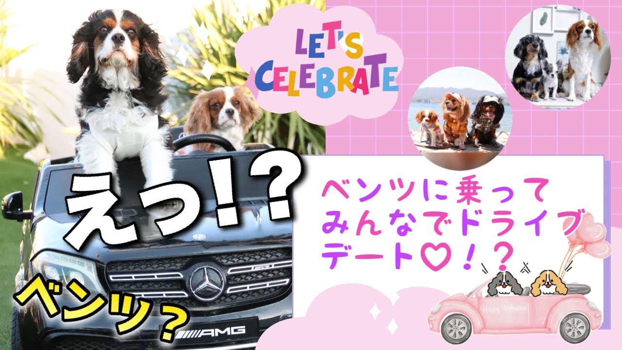 【とうとう納車⁉️】超高級車ベンツに乗ってブイブイ言わせてみたいキャバリア♡