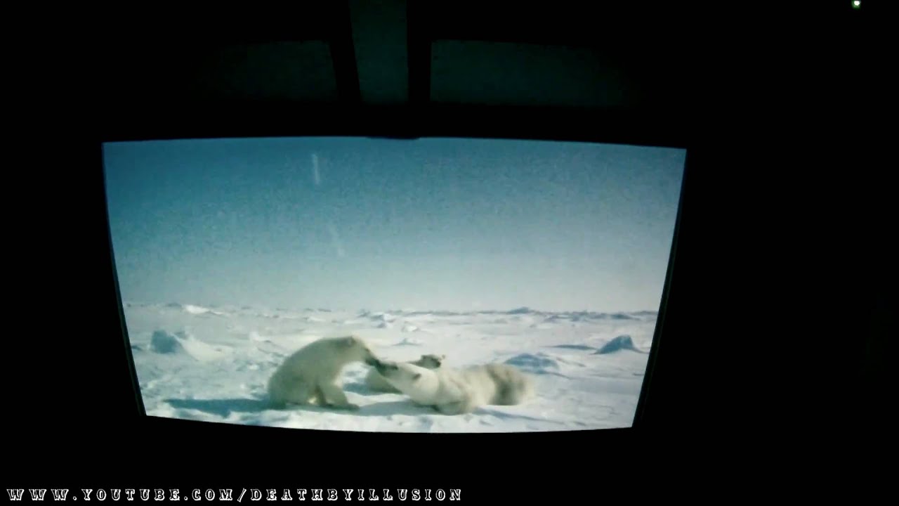Wild Arctic Adventure Front Seat (HD POV) SeaWorld San Diego