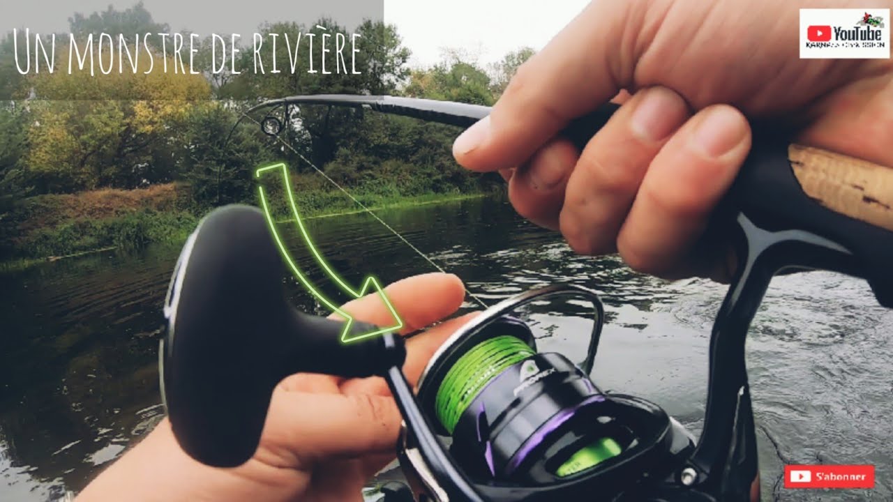 Un silure Furieux !!😈 partie n°2 (river2sea)