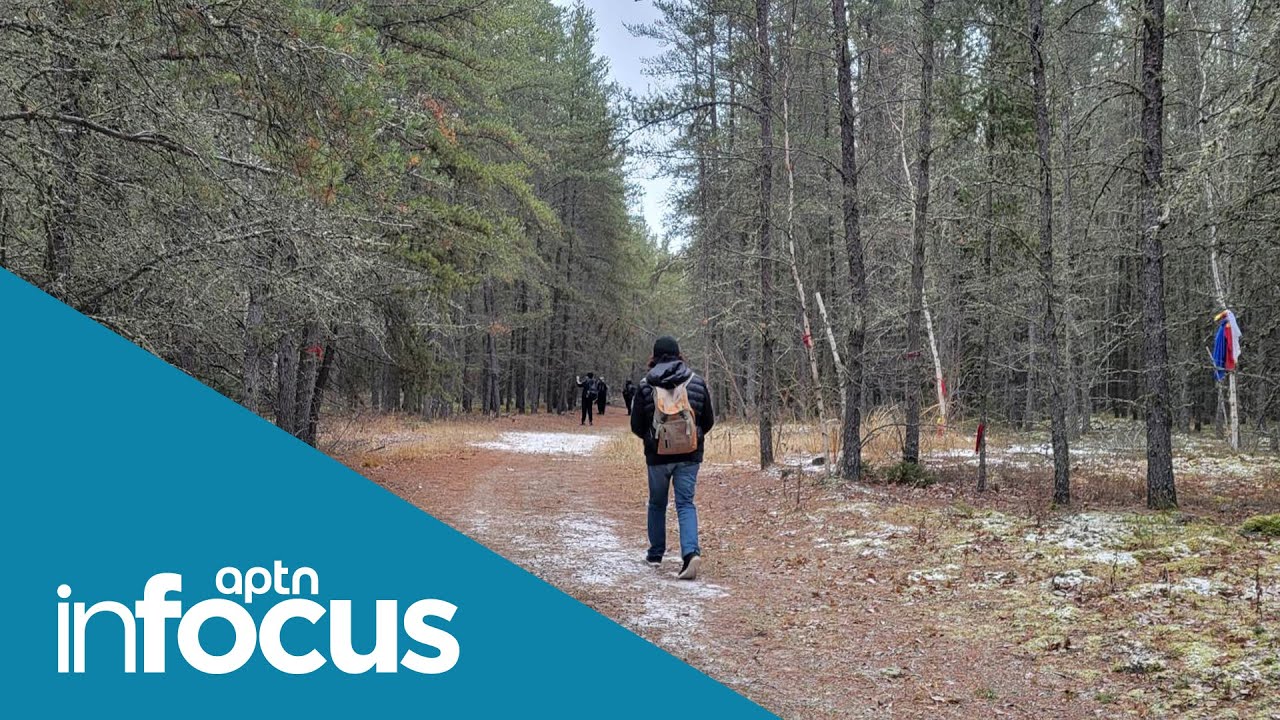 A look at the importance of land | InFocus