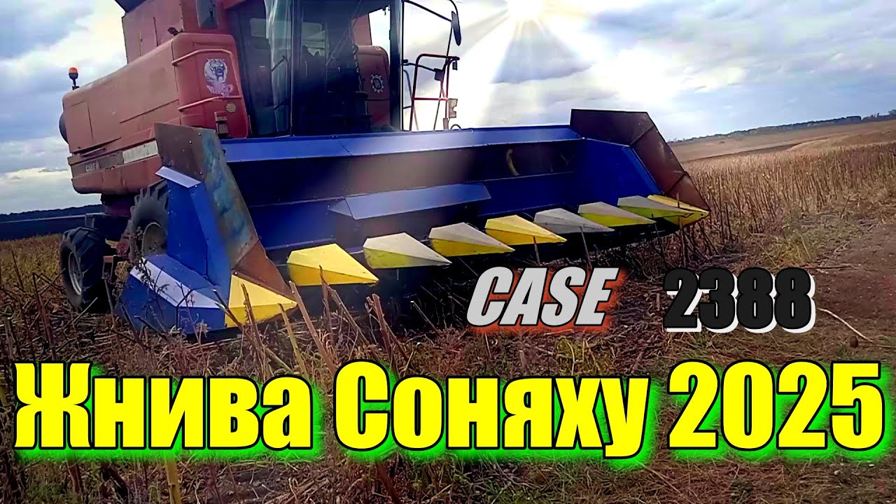 ЖНИВА СОНЯШНИКУ 2025! Комбайн:‎CASE 2388 Axial-Flow
