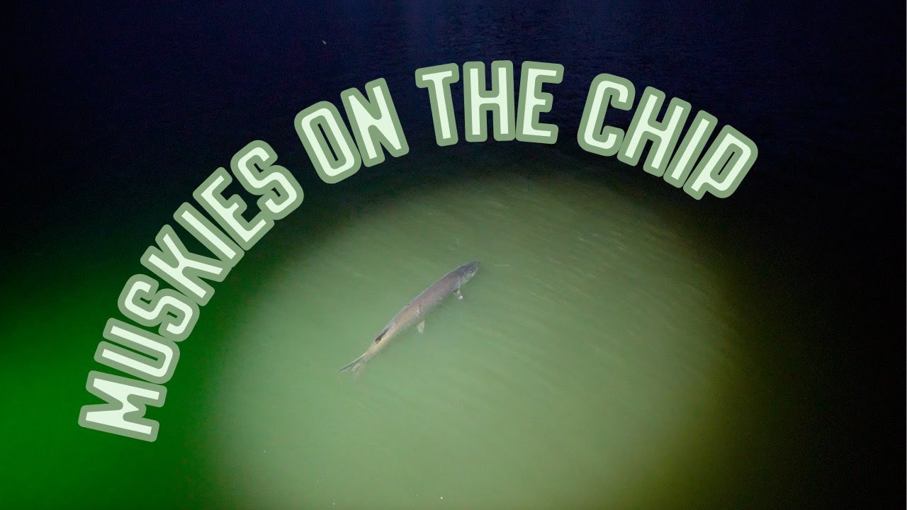 Thorne Bros | September Chippewa Flowage Muskies w/ Ty Sennett and Luke Ronnestrand