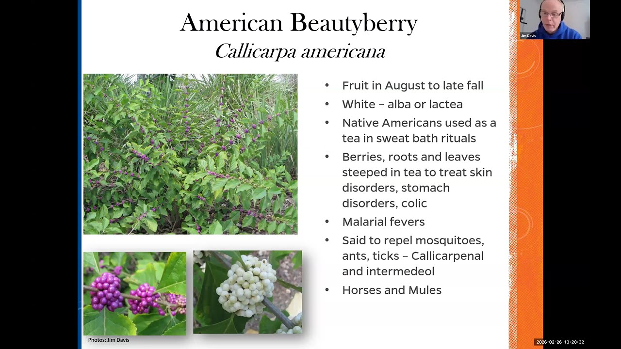 Native Plants and Ethnobotanical Uses