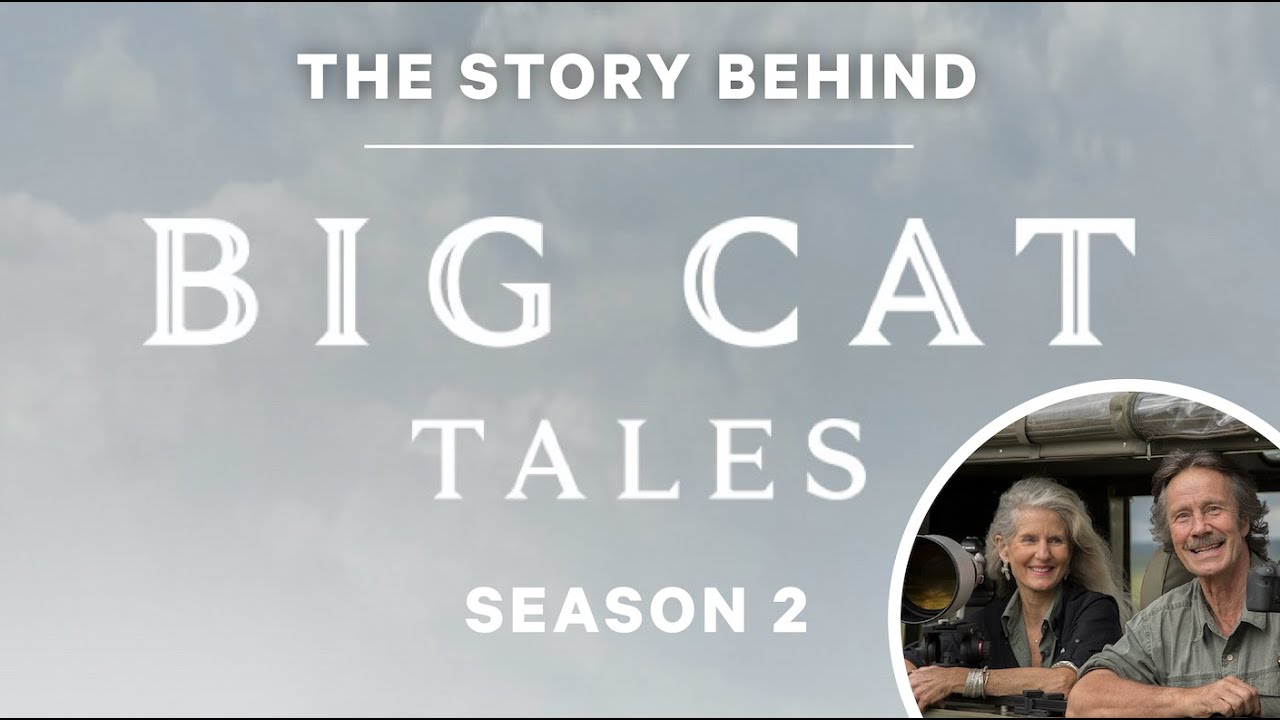 The Story Behind 'Big Cat Tales: Season 2'