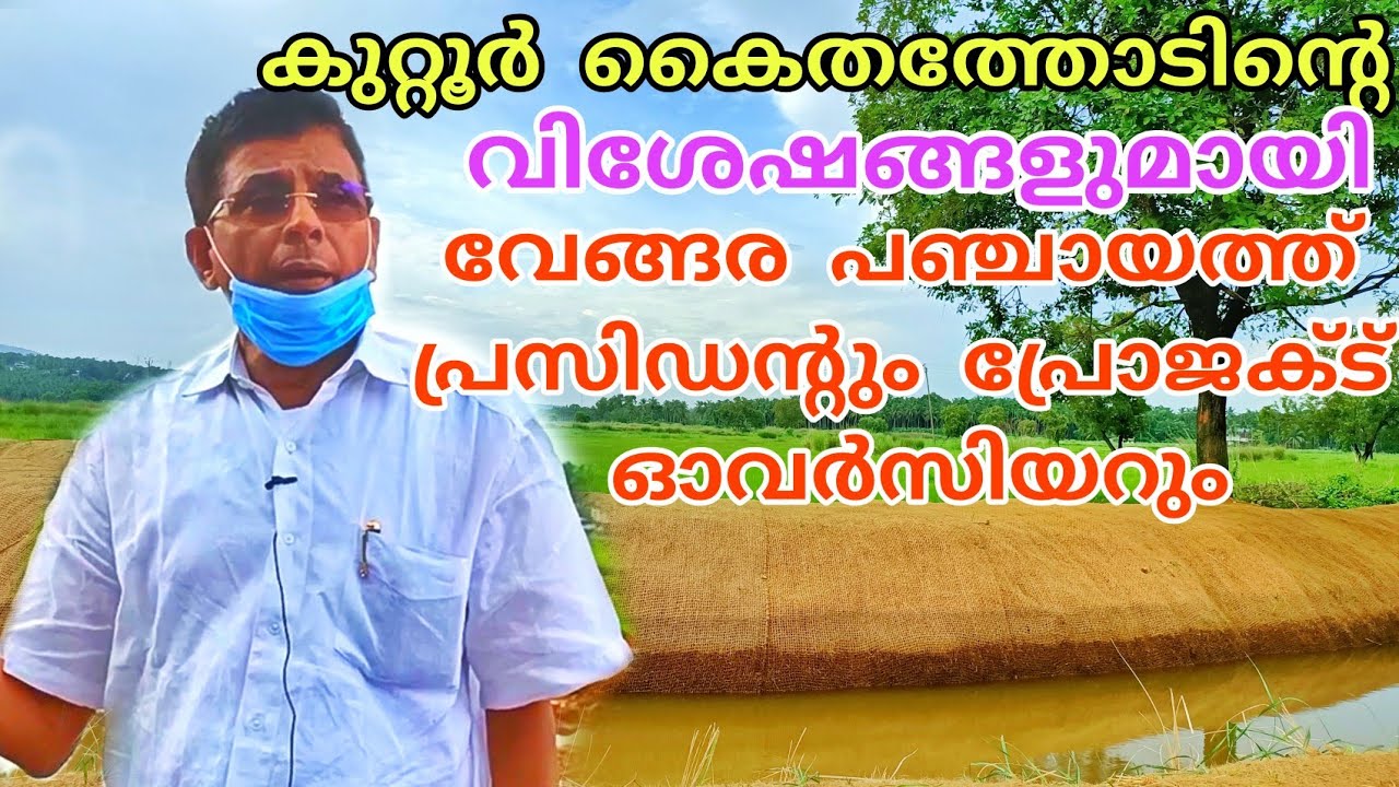 വേങ്ങര കൂരിയാട് കുറ്റൂർ കൈത തോട്/Kuttor kaithathod- mesmerizing beauty of nature- Malappuram/vengara