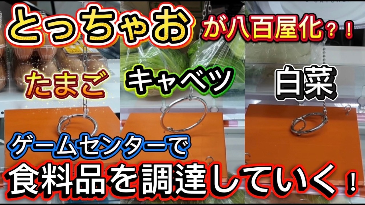【フック設定】とっちゃおが八百屋かした！？遊んでいこう！#クレーンゲーム #ゲームセンター #ufoキャッチャー