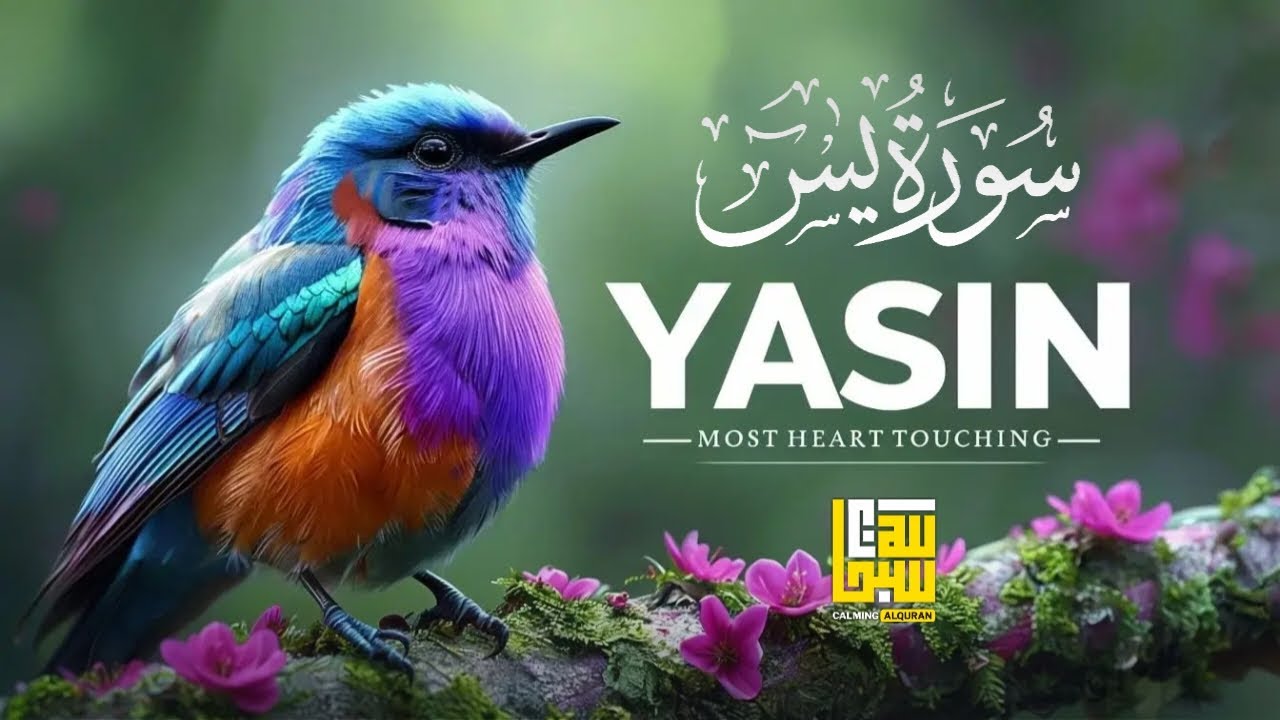 Surah Yasin (Yaseen) سورة يس ✦ Beautiful voice heart touching ✦ Quran For Sleep ✦ Alaa Aqel