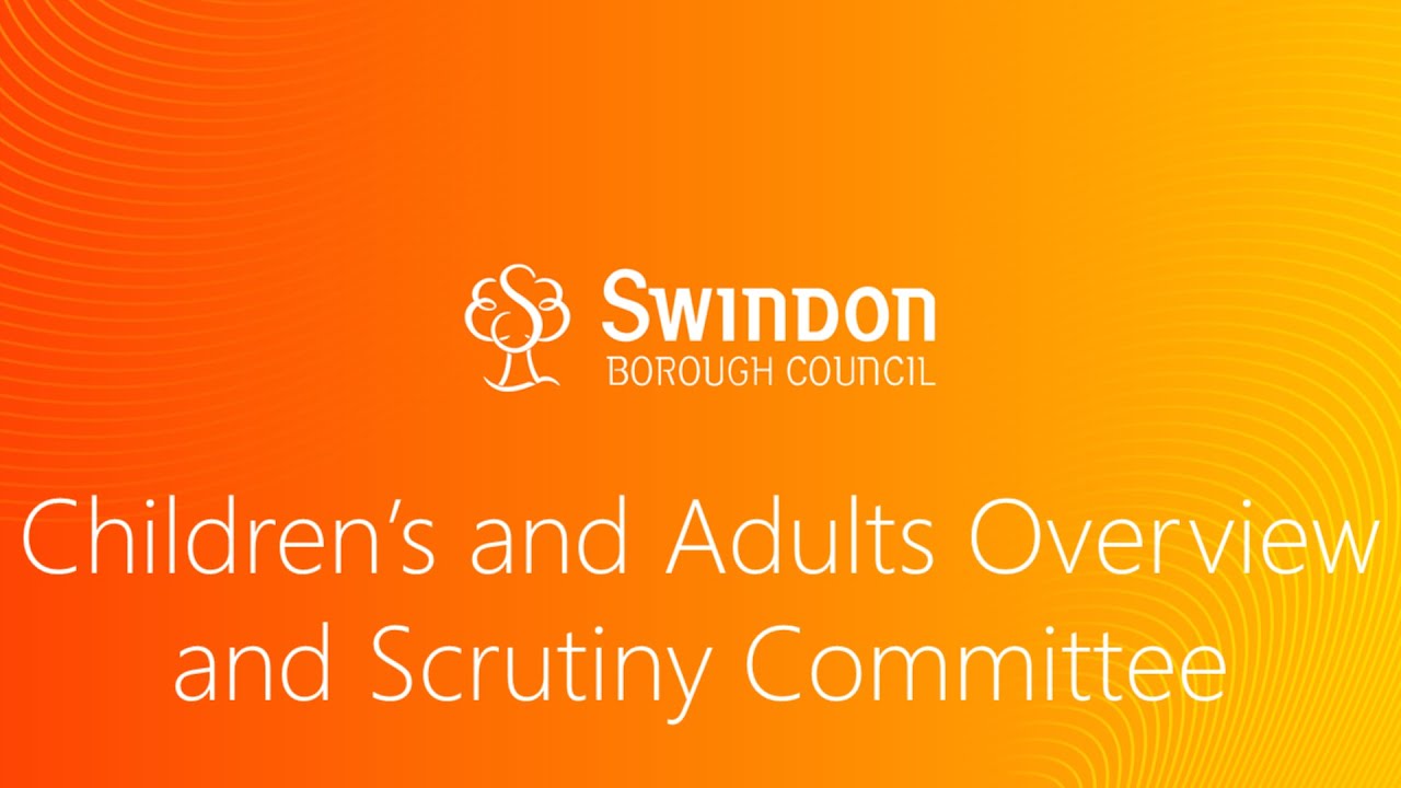 Children's and Adults' Overview & Scrutiny Committee - 11th December 2025