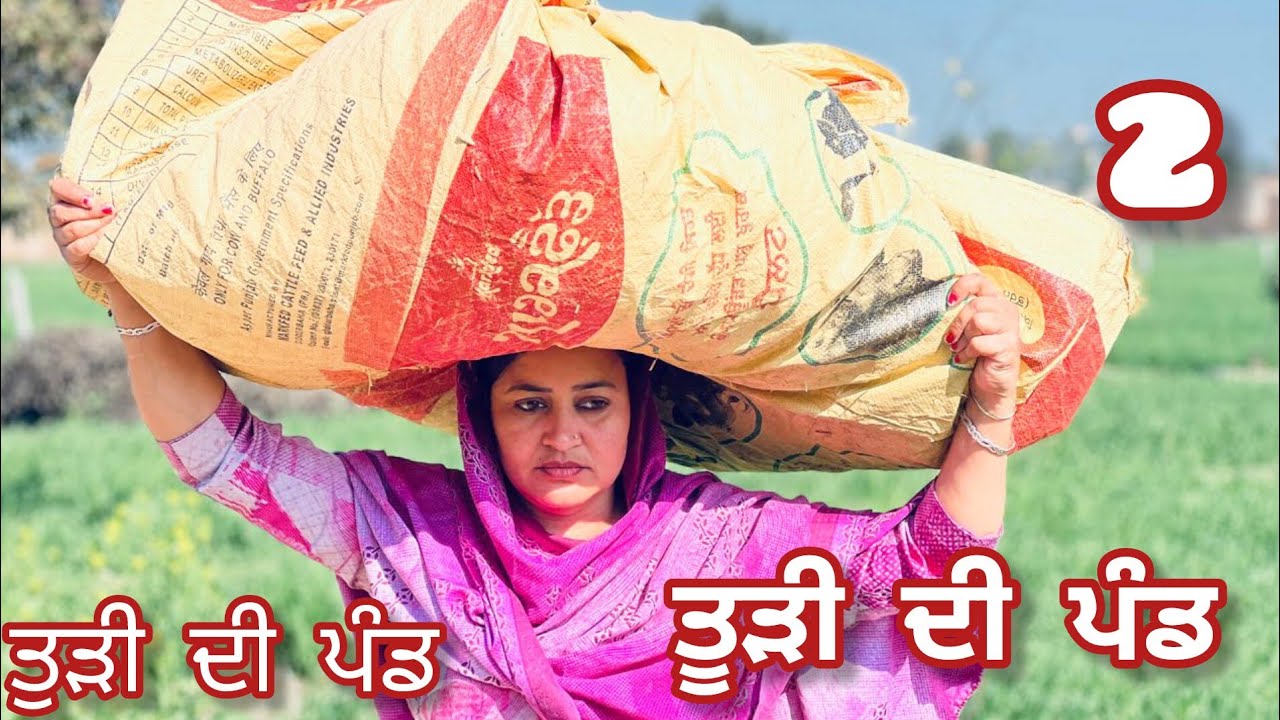 ਤੂੜੀ ਦੀ ਪੰਡ (2) todi di pand @banturampurawala-rq7kg