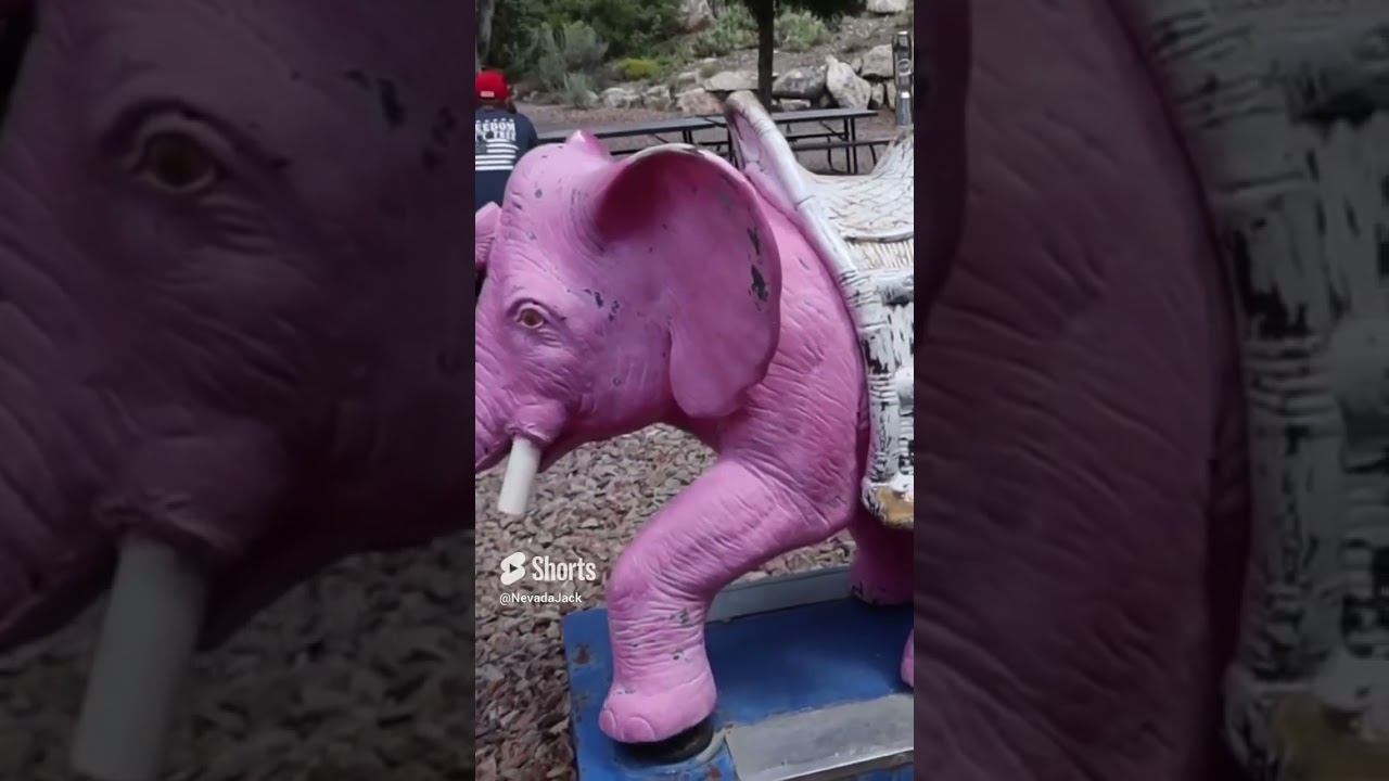 Seeing Pink Elephants - Mountain Springs, NV