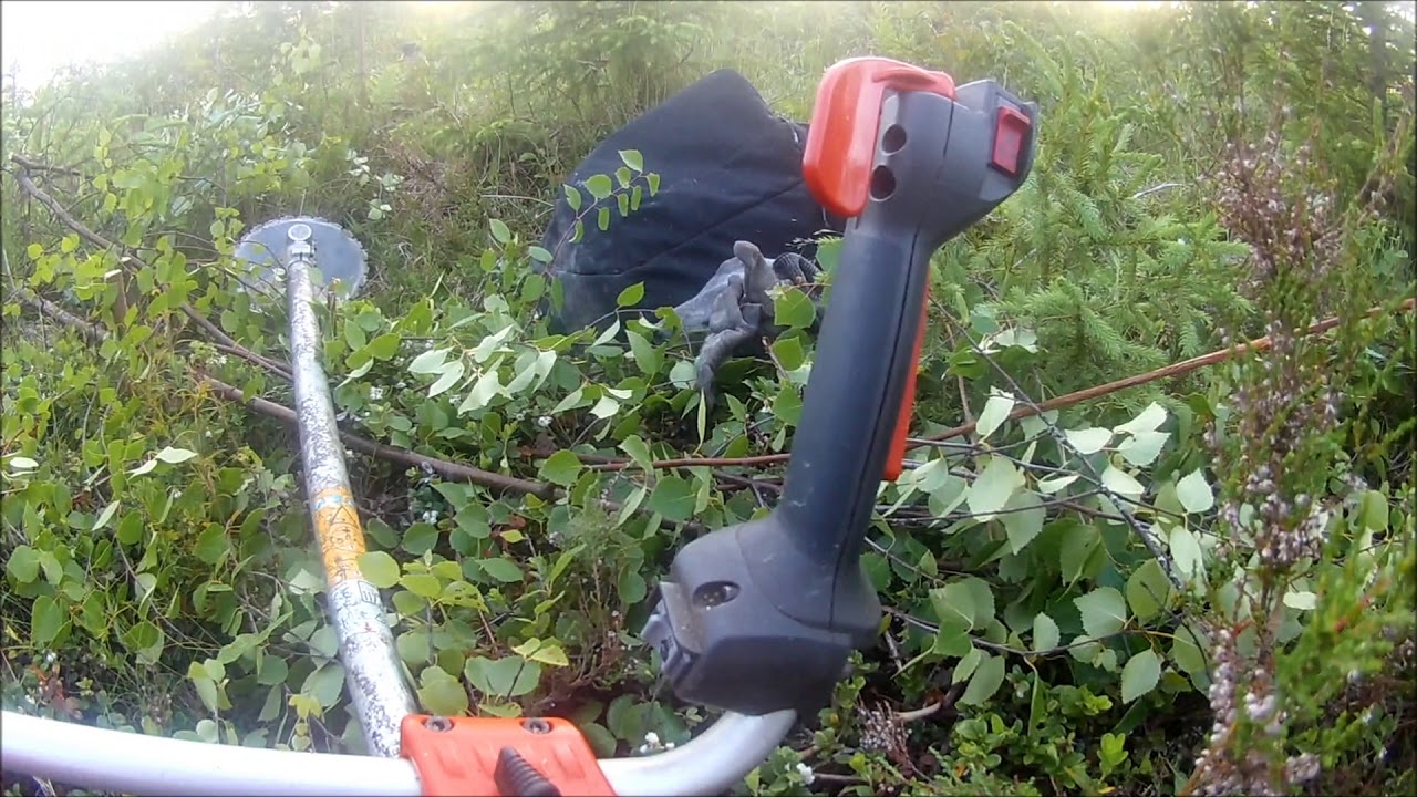 Iltavuoro varhaisperkuulla