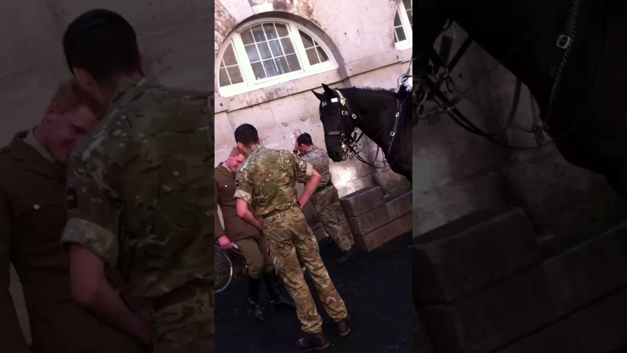 Horse Guards Parade...behind the scenes 😃😃