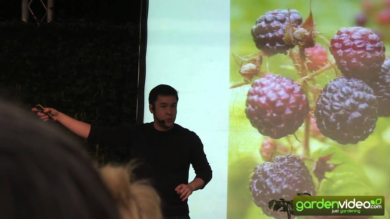 James Wong about the black raspberry Black Jewel