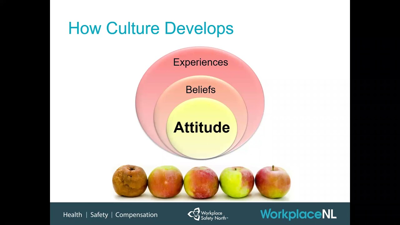 Safety Culture Assessment Tool