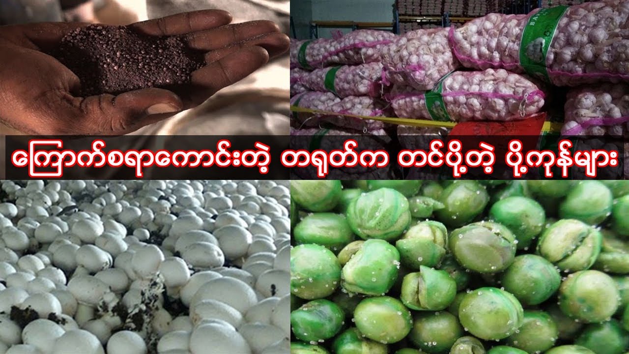 ကြောက်စရာကောင်းတဲ့ တရုတ်က တင်ပို့တဲ့ ပို့ကုန်များ
