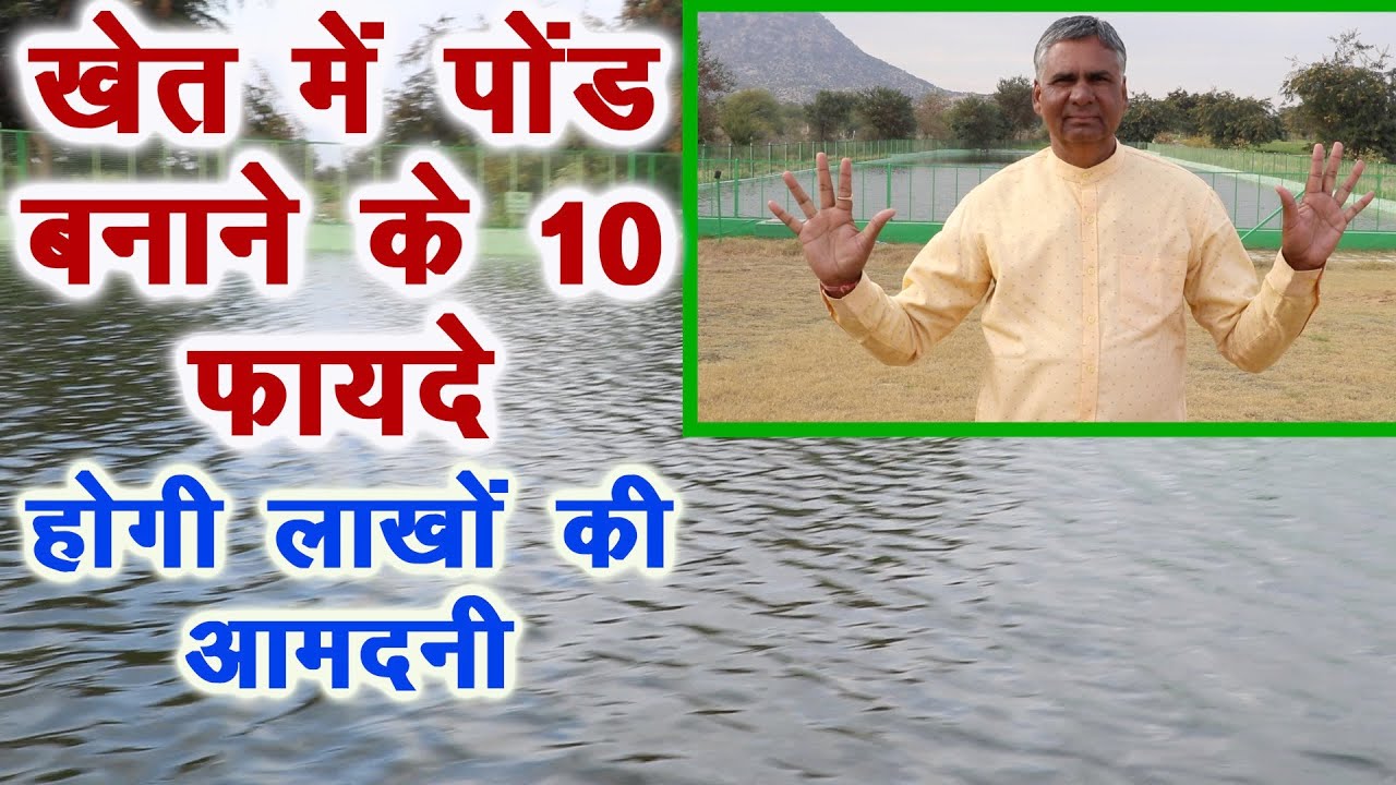 खेत में पोंड से कमाई के 10 तरीके, कम जगह में लाखों की कमाई |Fish, Moti farming in pond ||